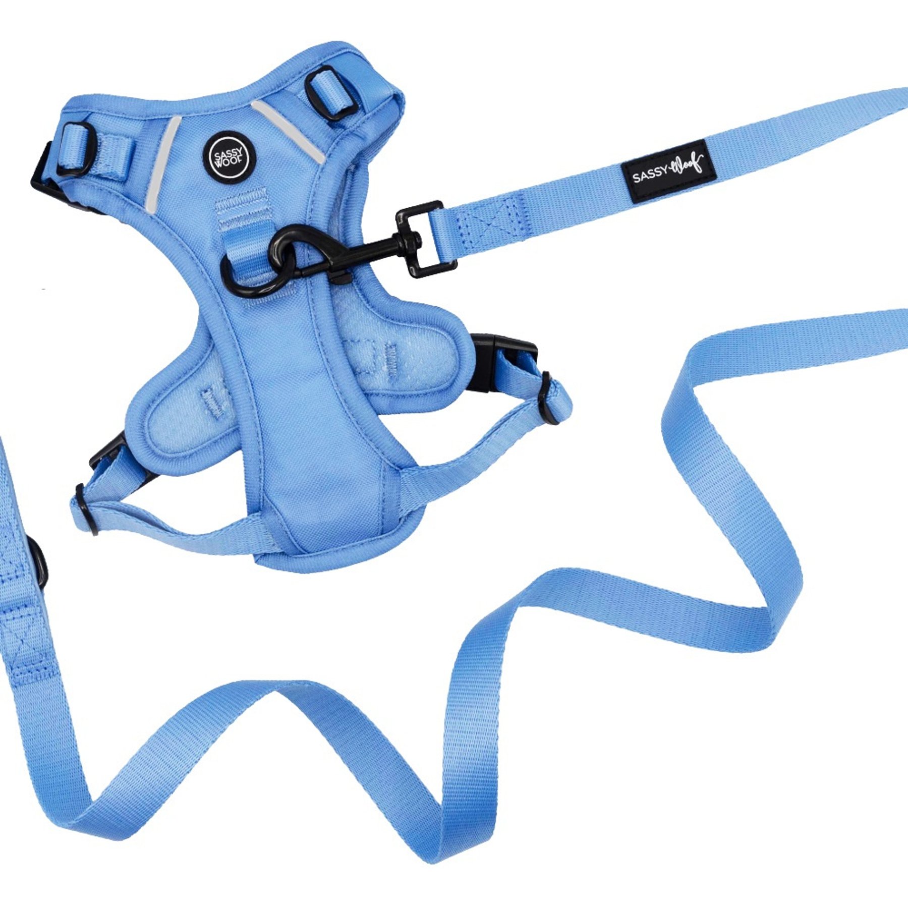 Sassy Woof Hydrangea Dog Harness & Leash, Medium: 16 to 28-in chest
