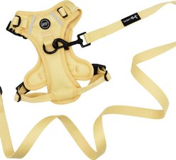 Sassy Woof Daffodil Dog Harness & Leash, Large: 22 to 33-in chest