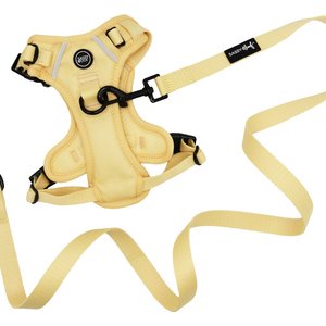 Sassy Woof Daffodil Dog Harness & Leash, Large: 22 to 33-in chest