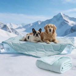 JOEJOY Lightweight Reversible Fuzzy Cozy Soft Fluffy Dog Cooling Blanket, Aqua Blue, Large