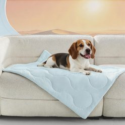 JOEJOY Lightweight Reversible Fuzzy Cozy Soft Fluffy Dog Cooling Blanket, Blue, Medium