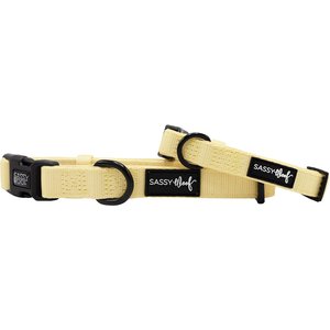 Sassy Woof Adjustable Dog Collar, Daffodil, Medium: 19.7-in neck, 3/4-in wide