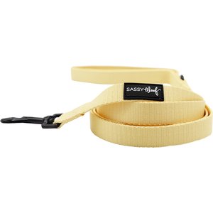 Sassy Woof Padded Standard Dog Leash, Daffodil, 5-ft long, 4/5-in wide