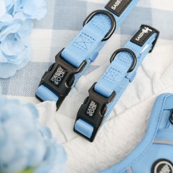 Sassy Woof Adjustable Dog Collar, Hydrangea, X-Small: 9.5-in neck, 1/3-in wide slide 2 of 7