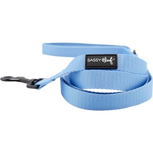 30 ft climbing rope dog leash Rope Dog Leash with Auto-Locking Carabiner  9.5mm Mammut Rope | Marine Blue