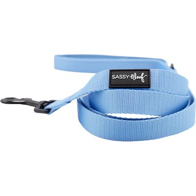 Sassy Woof Sassy Woof Padded Standard Dog Leash, Hydrangea, 5-ft long, 4/5-in wide
