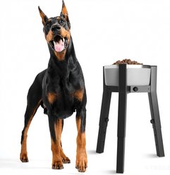 ADENGL 3 Height Adjustable Fits Bowl 7 to 10.7-in Non-Skid Metal Dog Feeder, Black, Large