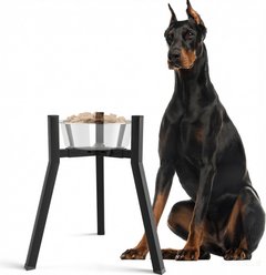 ADENGL Raised Adjustable Width 7 to 10.6-in Non-Skid Metal Dog Bowl Stand, Black, Large