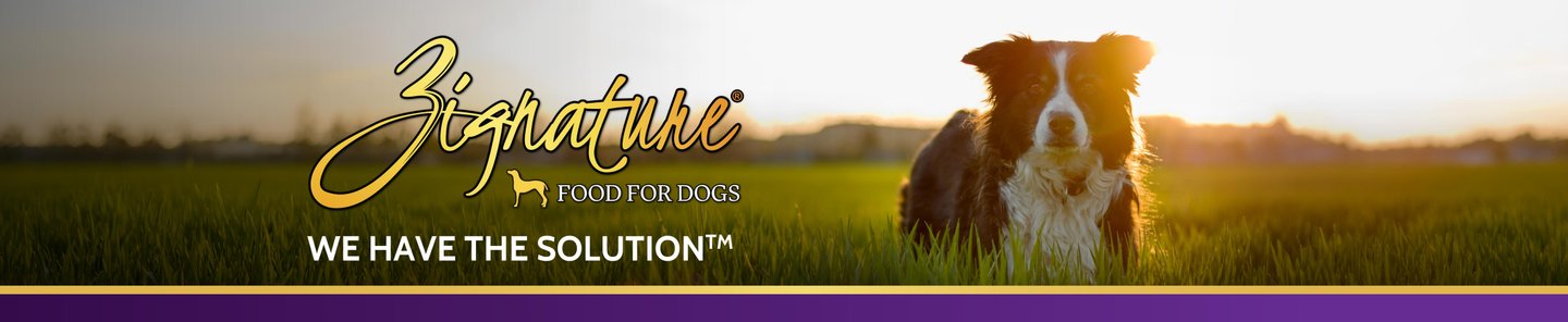 Zignature Food for Dogs We Have The Solution