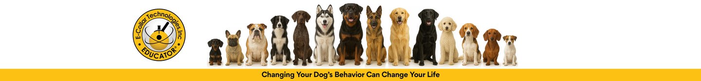 E-collar Technologies, Inc Educator Changing Your Dog's Behavior Can Change Your Life