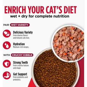Nulo FreeStyle Chicken & Cod Recipe with Omega Fatty Acids High Protein & Grain-Free Dry Cat & Kitten Food, 14-lb bag