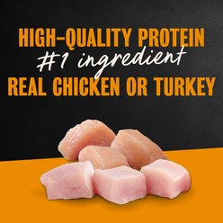Cesar Poultry Lovers Turkey & Chicken Filets in Gravy Variety Pack Small Breed Adult Wet Dog Food Trays, 3.5-oz, case of 12 slide 2 of 9