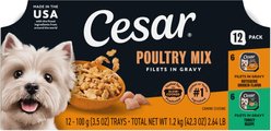 Cesar Poultry Lovers Turkey & Chicken Filets in Gravy Variety Pack Small Breed Adult Wet Dog Food Trays, 3.5-oz, case of 12