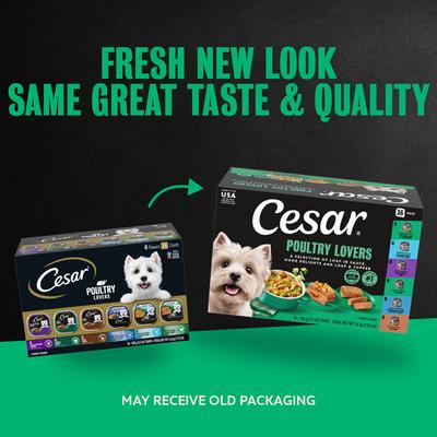 Show full view: Cesar Poultry Lovers Variety Pack Small Breed Adult Wet Dog Food Trays, 3.5-oz, case of 36 slide 3 of 10