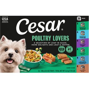 Cesar Poultry Lovers Variety Pack Small Breed Adult Wet Dog Food Trays, 3.5-oz, case of 36