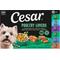 Show in main carousel: Cesar Poultry Lovers Variety Pack Small Breed Adult Wet Dog Food Trays, 3.5-oz, case of 36 slide 1 of 10