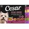 Show in main carousel: Cesar Steak Lovers Variety Pack Small Breed Adult Wet Dog Food Trays, 3.5-oz, case of 36 slide 1 of 10