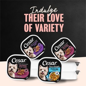 Cesar Classic Loaf in Sauce Variety Pack Grain-Free Small Breed Adult Wet Dog Food Trays, 3.5-oz, case of 36