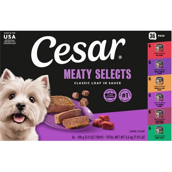 automatic dog feeder wet food Donut 6-Meal Automatic Pet Feeder | Feed Your Pets on a regular schedule  for up to 3 days