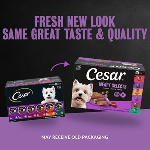 Cesar Classic Loaf in Sauce Variety Pack Grain-Free Small Breed Adult Wet Dog Food Trays, 3.5-oz, case of 36