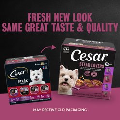 Cesar Steak Lovers Variety Pack Small Breed Adult Wet Dog Food, 3.5-oz, case of 24 slide 2 of 9
