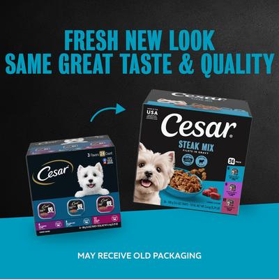 Show full view: Cesar Filets in Gravy Beef Flavors Variety Pack Small Breed Adult Wet Dog Food, 3.5-oz tray, case of 24 slide 3 of 11
