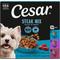 Show in main carousel: Cesar Filets in Gravy Beef Flavors Variety Pack Small Breed Adult Wet Dog Food, 3.5-oz tray, case of 24 slide 1 of 11