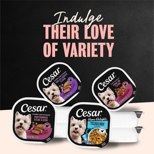 Cesar Classic Loaf in Sauce Beef Recipe, Filet Mignon, Grilled Chicken & Porterhouse Steak Flavors Variety Pack Grain-Free Small Breed Adult Wet Dog Food Trays, 3.5-oz, case of 24