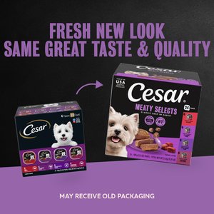 Cesar Classic Loaf in Sauce Beef Recipe, Filet Mignon, Grilled Chicken & Porterhouse Steak Flavors Variety Pack Grain-Free Small Breed Adult Wet Dog Food Trays, 3.5-oz, case of 24