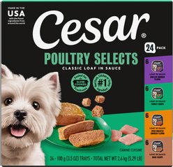 Cesar Poultry Variety Pack with Real Chicken, Turkey & Duck Grain-Free Small Breed Adult Wet Dog Food Trays, 3.5-oz, case of 24