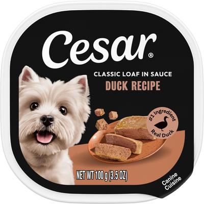 Cesar Classic Loaf in Sauce Duck Recipe Wet Dog Food Trays, 3.5-oz, case of 24