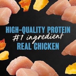 Cesar Loaf & Topper in Sauce Rotisserie Chicken Flavor with Bacon & Cheese Wet Dog Food Trays, 3.5-oz, case of 24 slide 2 of 9