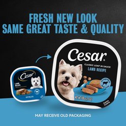 Cesar Classic Loaf in Sauce Lamb Recipe Grain-Free Small Breed Adult Wet Dog Food Trays, 3.5-oz, case of 24 slide 2 of 9
