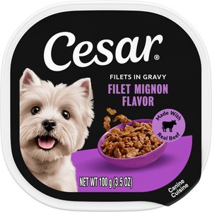 CESAR Home Delights Grilled New York Strip Flavor with Vegetables
