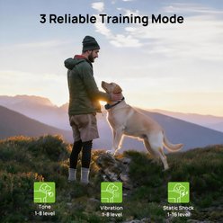LvLrister T820 3-in-1 Remote Waterproof Training & Anti-Bark Dog Collar with Light, Black, 26-in neck, 1.375-in wide, 1 count slide 2 of 9