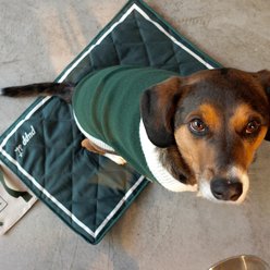 pupp st. Foldable Travel Outdoor Dog Mat, Medium, Green slide 2 of 6
