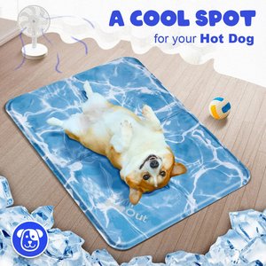 allforpaws Chill Out Always Cool Dog & Cat Mat, Blue, Medium
