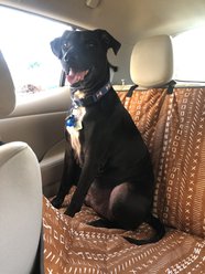 Molly Mutt Everywhere Organic Car Dog Seat Cover, Rust slide 2 of 4