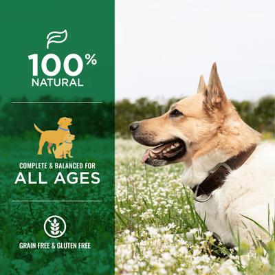 Show full view: Nature's Logic 100% Natural Canine Beef Feast All Life Stages Grain-Free Wet Dog Food, 13.2-oz, case of 12 slide 3 of 10