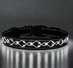 MEGAPAWS Light Up Nylon Dog Collar, White, Large: 17 to 27-in neck, 0.79-in wide