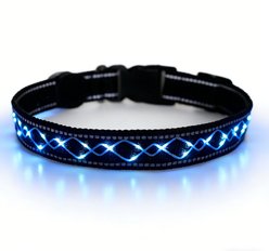 MEGAPAWS Light Up Nylon Dog Collar, Blue, Large: 17 to 27-in neck, 0.79-in wide