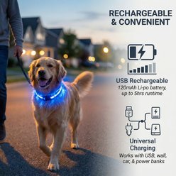MEGAPAWS 8-Color Flashing Rechargeable Waterproof Adjustable LED Dog Collar, Black, Medium: 13 to 19-in neck, 0.79-in wide slide 2 of 9