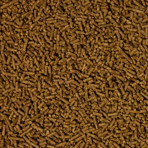 Purina Enrich Plus Senior Ration Balancer Horse Feed, 50-lb bag