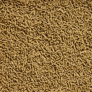 Purina Enrich Plus Ration Balancer Horse Feed, 50-lb bag