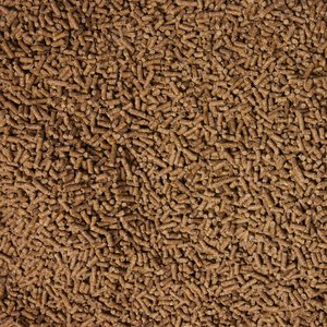 Sunglo Complete Pellet Show Pig Feed, 50-lb bag