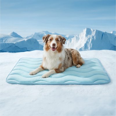 furrybaby furrybaby Dog Cooling Crate Mat, Blue, Large