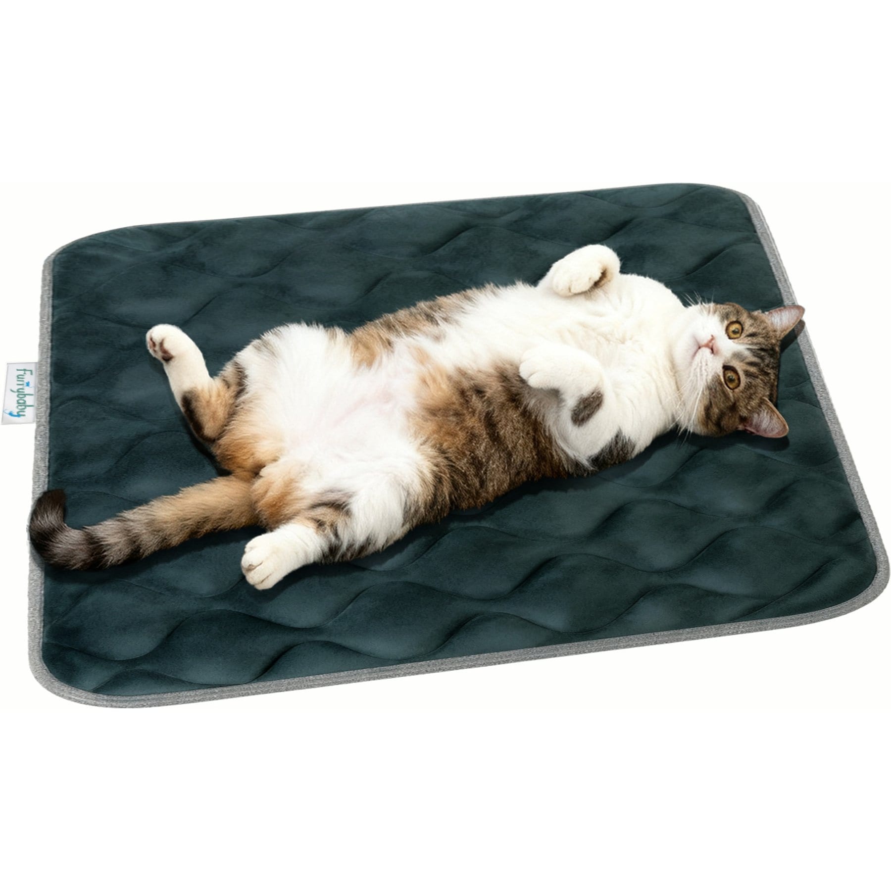 furrybaby Anti-Slip Bottom Machine Washable Dog Crate Mat, Grey, X-Small