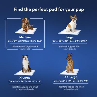 Show full view: Chewy Made Medium Premium Dog Training & Potty Pads (FORMERLY FRISCO), 21 x 21-in, Unscented, 100 count slide 7 of 10