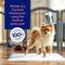 Show in main carousel: Chewy Made Medium Premium Dog Training & Potty Pads (FORMERLY FRISCO), 21 x 21-in, Unscented, 100 count slide 6 of 10