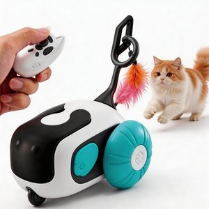 MEWLUXE Pet Gravity Glide Remote Control & Auto Mouse Cat Toy with Feather  Teaser, Blue - Chewy.com